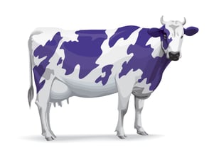 The Purple Cow reviewed by Silicon Valley Research Group