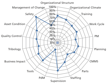 spider-diagram-1